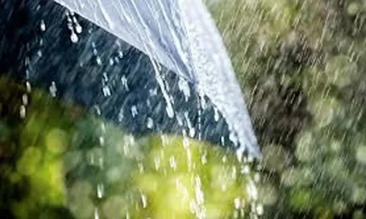 Depression over Northwest Bay brings rain to Dhaka, other parts of country