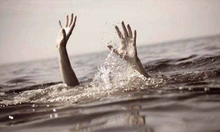 Twin sisters drown in Sherpur 