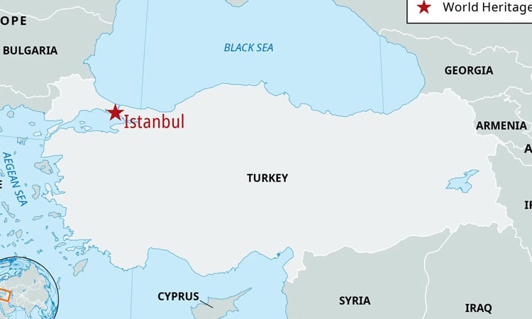 At least 87 protesters arrested in Turkey: lawyers