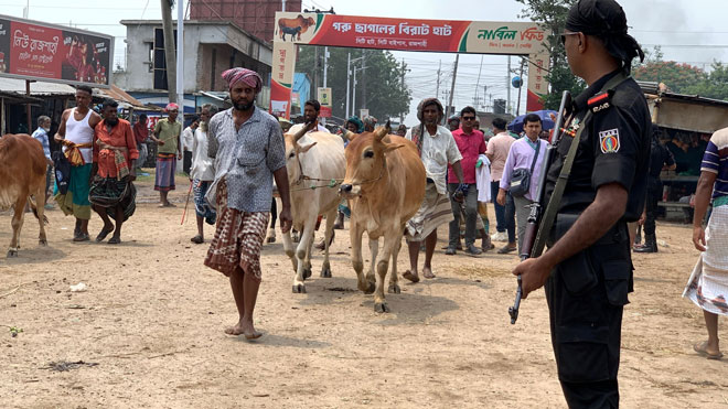 RAB to ensure security, healthcare services at Rajshahi cattle markets