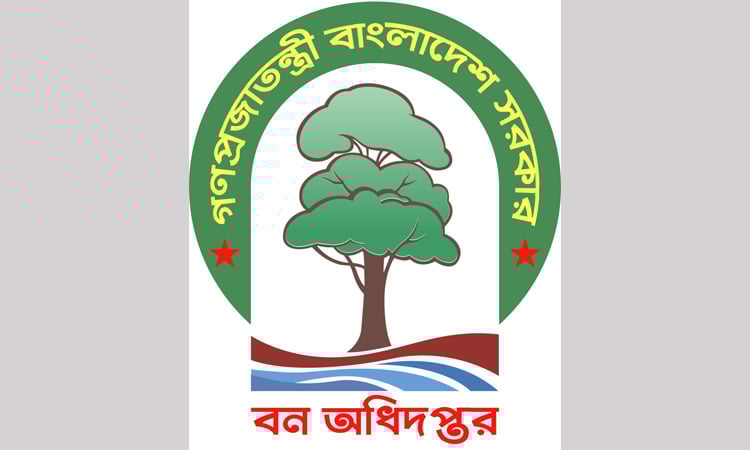 DoF to boost urban afforestation in DNCC area