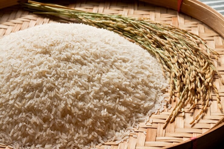 Govt distributes over 1,461 tonnes of rice in Khulna before Eid-ul-Azha