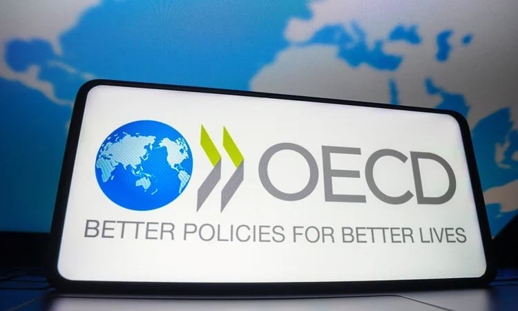 Trade war cuts global economic growth outlook: OECD