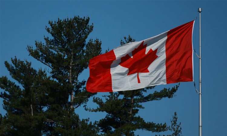 Canada's reopened cod fishery on shaky ground