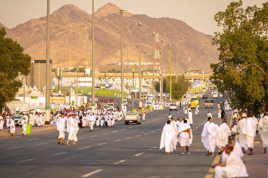 Muslim pilgrims pray at Mount Arafat in hajj apex