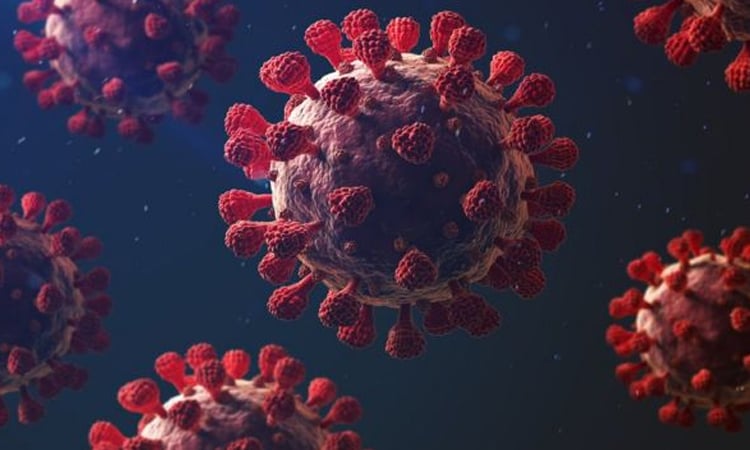 3 more Covid-19 cases reported in country