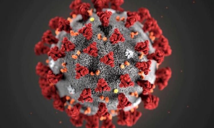 Five new Covid-19 cases reported in country