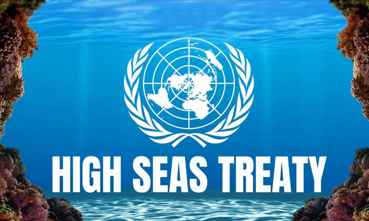What is the high seas treaty?