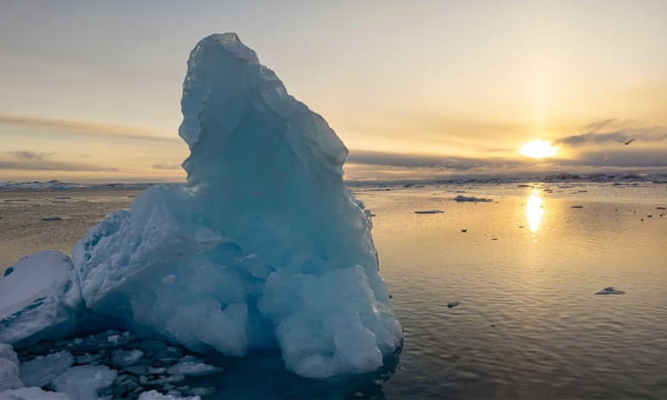 Greenland ice melted much faster than average in May heatwave: scientists