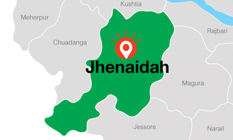 Snakebite kills girl in Jhenaidah