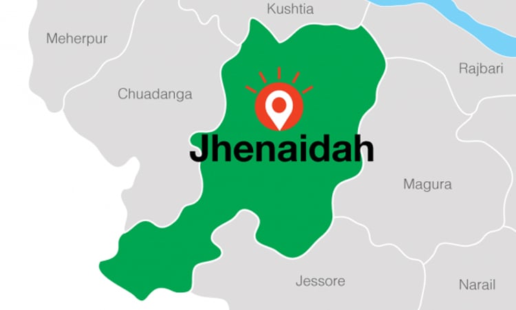 Snakebite kills girl in Jhenaidah