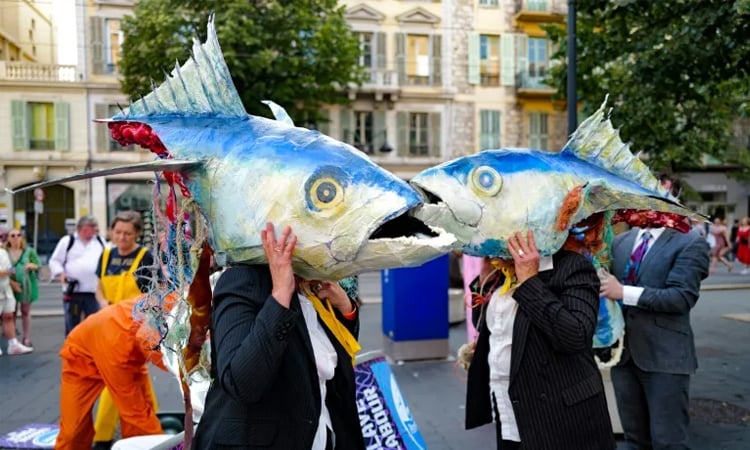 UN summit celebrates ocean protections, but drops fossil fuels