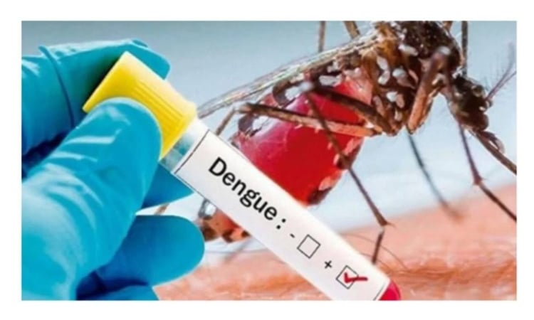 5 dead, 159 dengue patients hospitalized in last 24 hrs