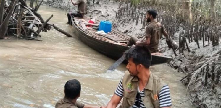 Drone surveillance in Sundarbans renders promising results in wildlife