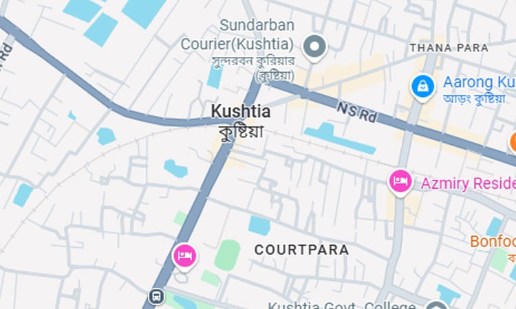 Woman dies from snakebite in Kushtia