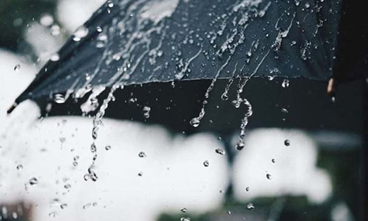 Bangla- calendar announces advent of Ashar, rainy season  
