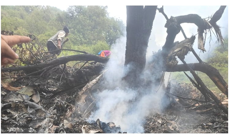 Toddler among seven killed in India chopper crash