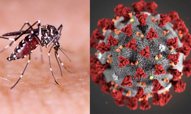 Special health guidelines issued for HSC exams amid covid-19, dengue surge