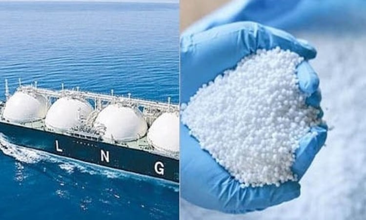 Govt to procure 1 cargo LNG, 30,000 MTs fertilizer