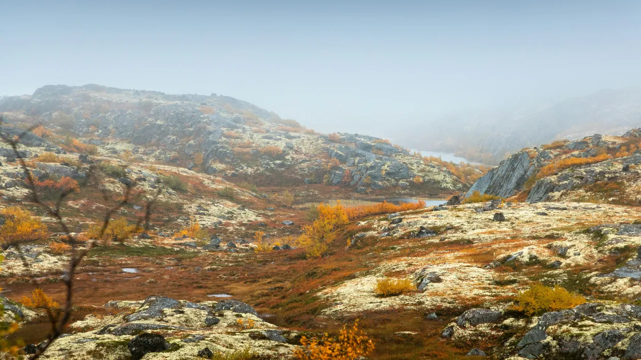 Arctic warming spurs growth of carbon-soaking peatlands