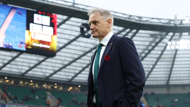 Wallabies confident but wary of wounded British and irish Lions