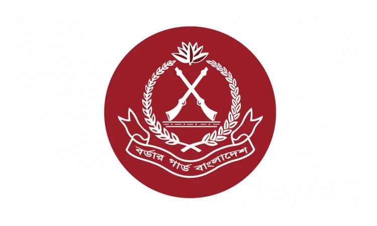 BGB seizes 1.60 lakh yaba at Teknaf