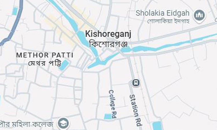 Man dies after falling from tree in Kishoreganj