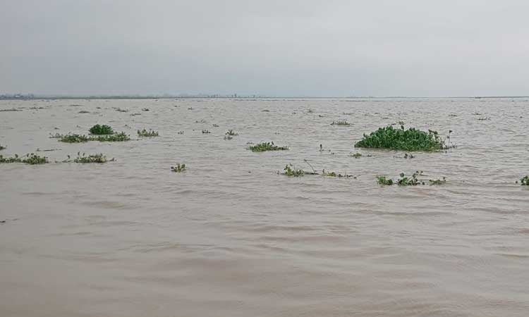 Water level in major rivers rises in Gaibandha 