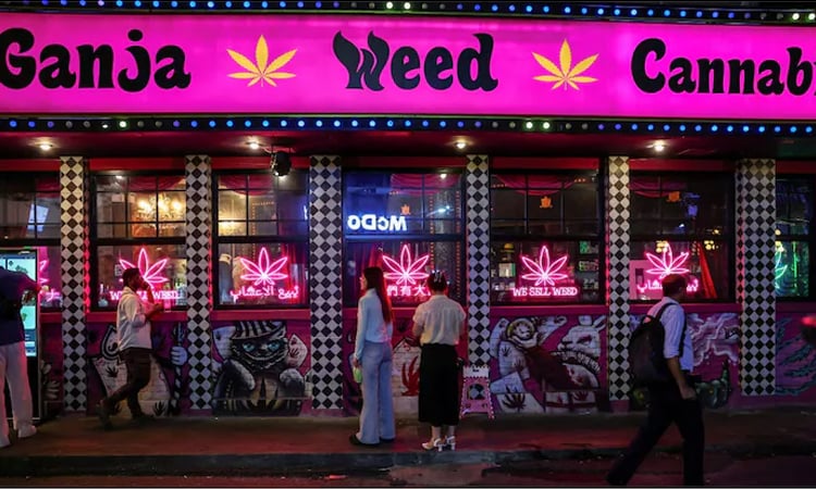 Thai cannabis stores fret as government moves to tighten rules on sales