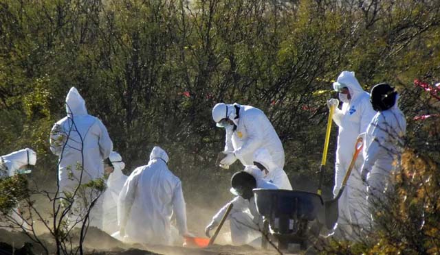 Thirty-four bodies found in Mexican mass grave