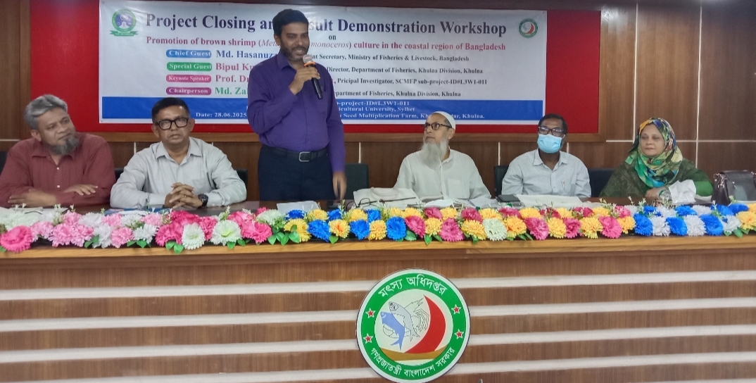 Harina shrimp offers new opportunities for fish farmers: Experts