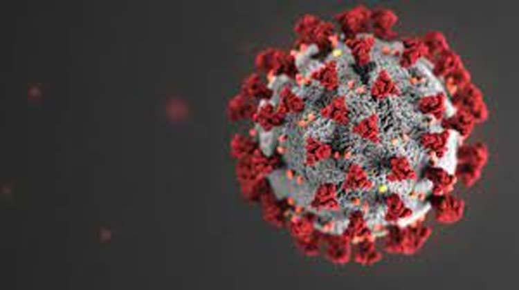 13 new COVID-19 cases reported in 24 hours