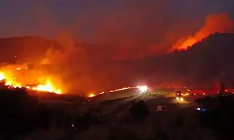 Forest fire threatens homes in Turkey's Izmir province