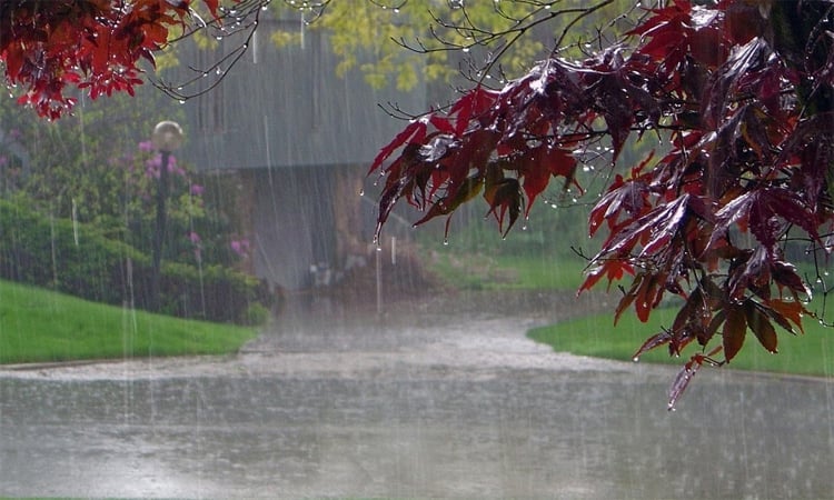 Met office forecasts rain over country   