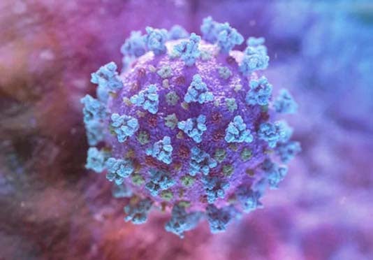 COVID-19 update: 21 new cases reported in 24 hours