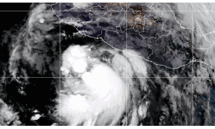 Tropical storm Flossie strengthens into hurricane off coast of Mexico: NHC