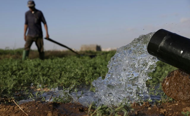 Drought-hit Morocco turns to desalination to save vegetable bounty
