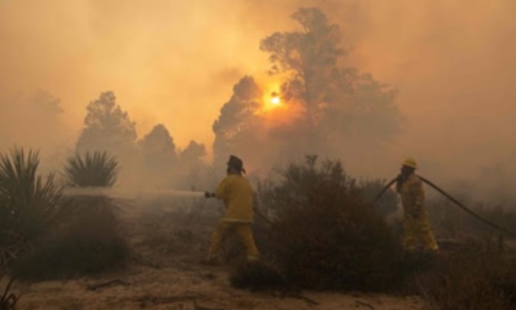 High winds fuel wildfires near Turkish resort of Izmir
