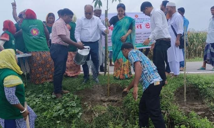 5,550 trees to be planted on 5-km road in Thakurgaon