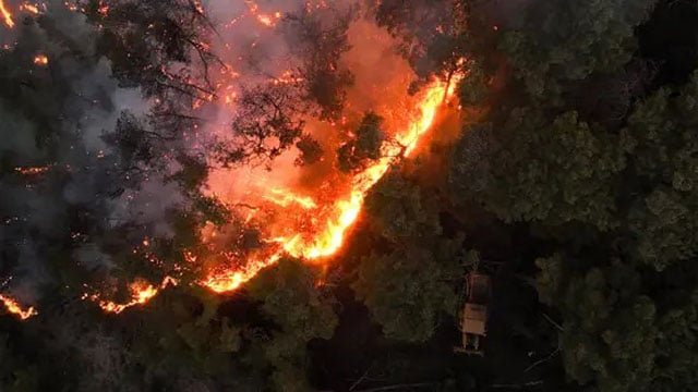 Syrian authorities evacuate citizens amid major forest fires