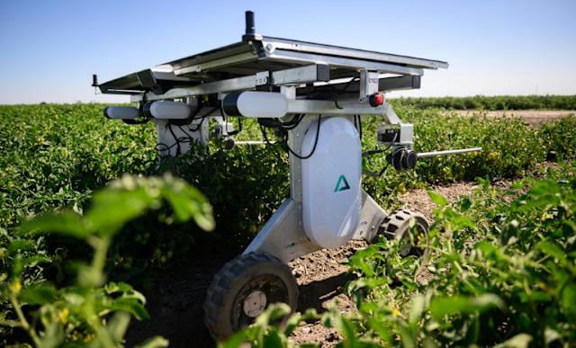 AI robots fill in for weed killers and farm hands
