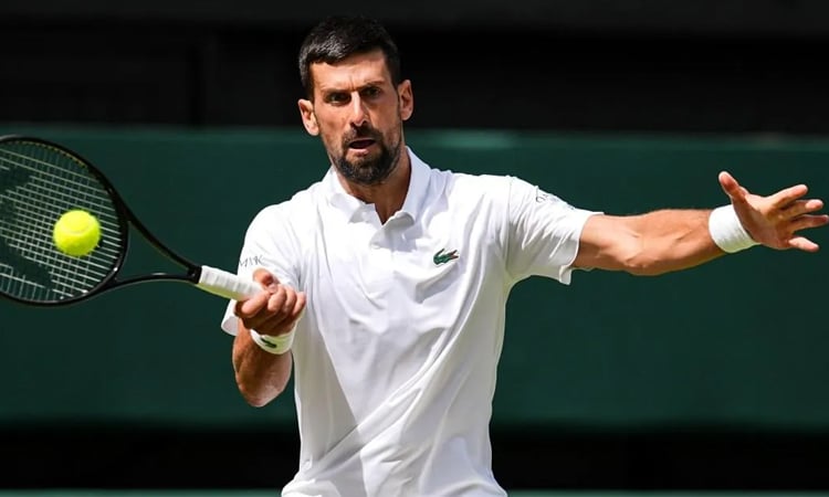 Djokovic wary despite Wimbledon form, dominant Sinner faces Dimitrov