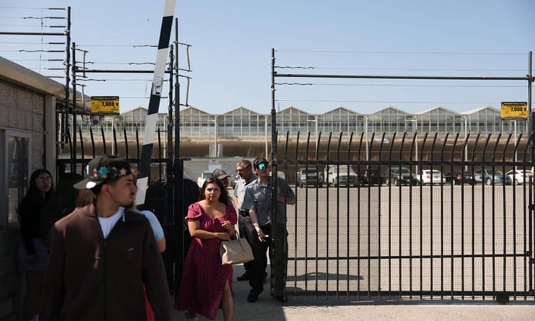 Farm worker dies after US immigration raid in California