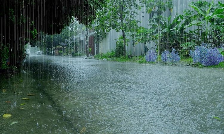 Rain likely in all divisions of the country 