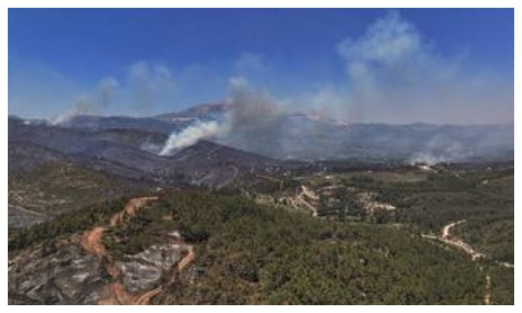 Syria says wildfires contained after 10 days