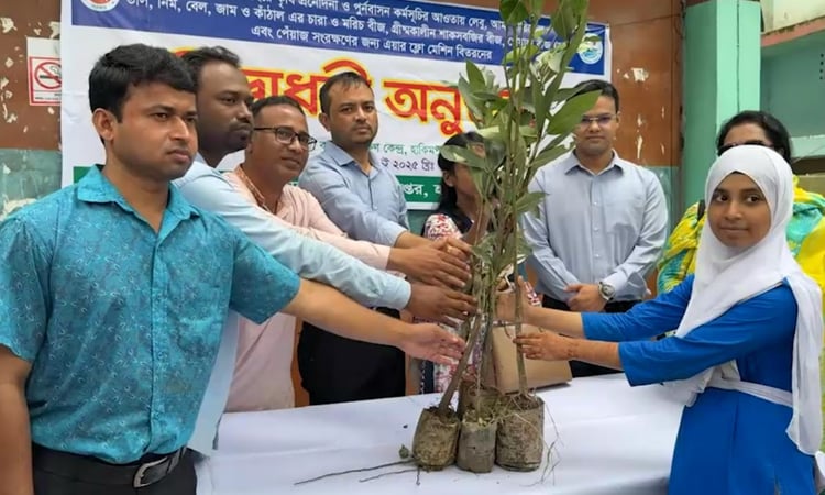 Tree plants distributed among students in Hili area