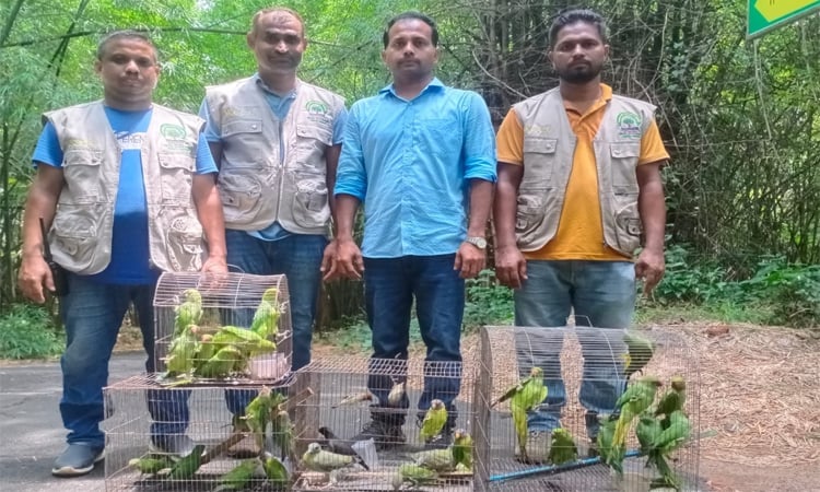 61 wild birds, 2 turtles rescued from Mirpur-1
