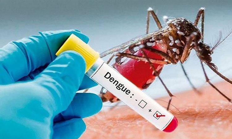 One dengue patient dies, 394 hospitalized in 24hrs