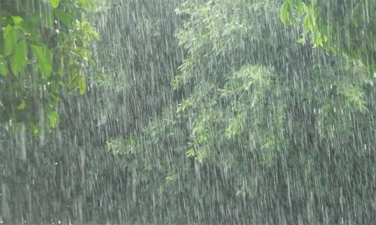 Met office forecasts rain across country 