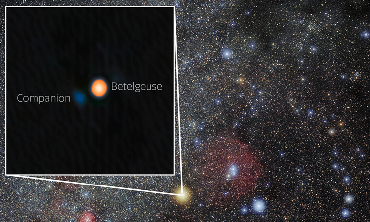 Astronomers discover blazing Betelgeuse has companion star